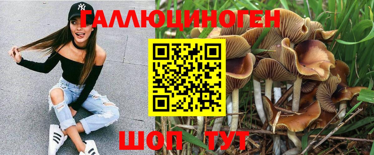 Галлюциногенные грибы прущие грибы  Вход с VPN  где купить наркоту  Кольчугино 